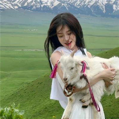 揭竿而起